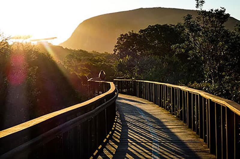 SEO Sunshine Coast.