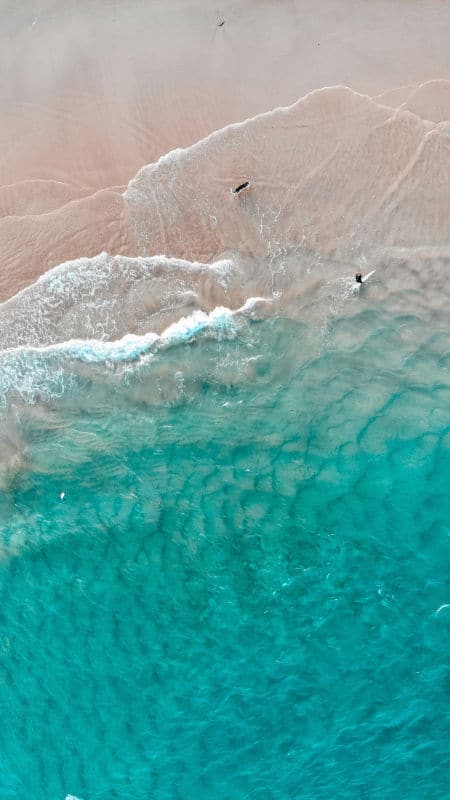 SEO in Gold Coast.